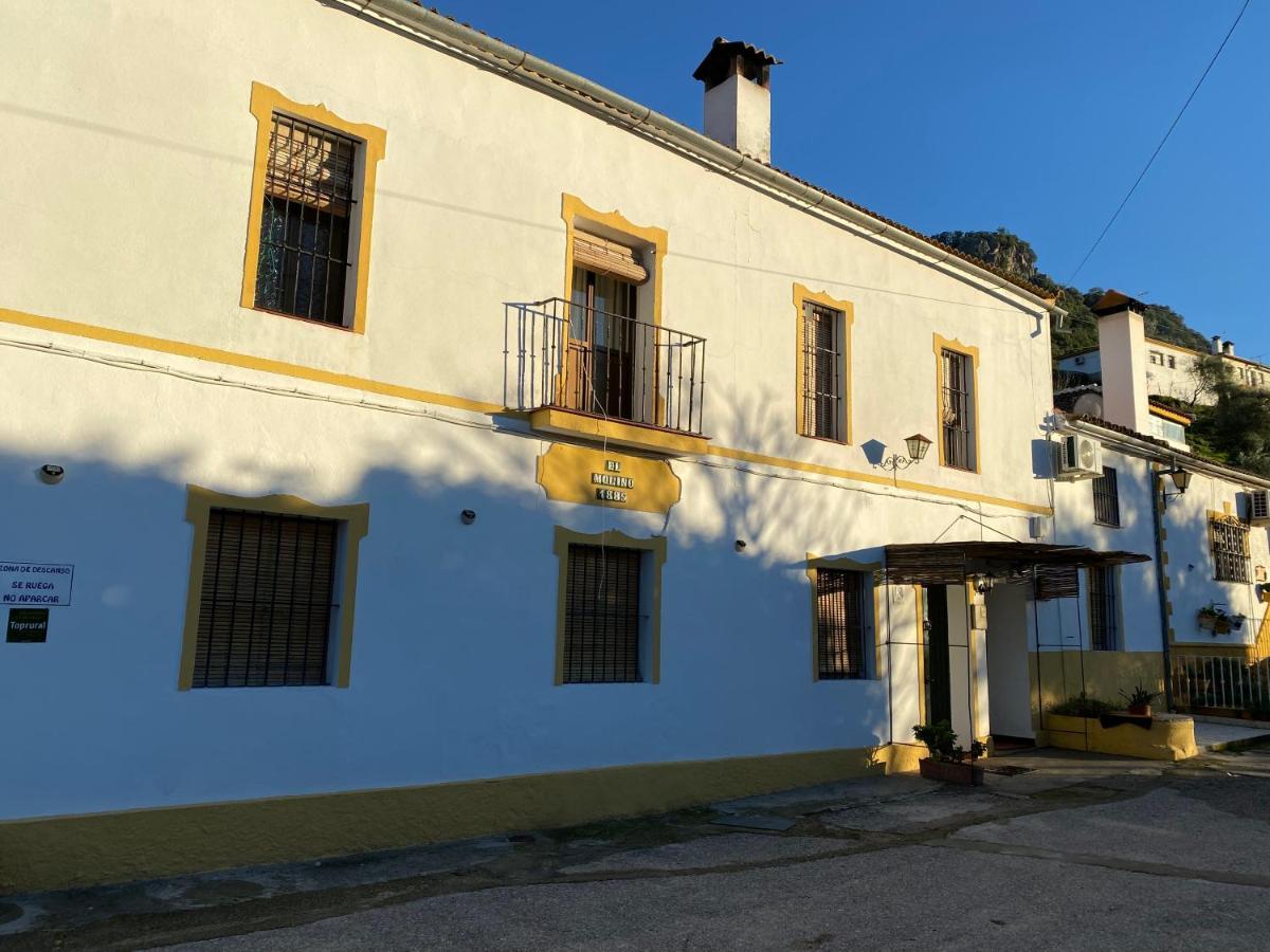Farm stay La Buhardilla De Torrecillas