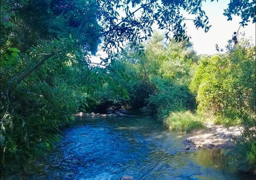 Farm stay La Buhardilla De Torrecillas