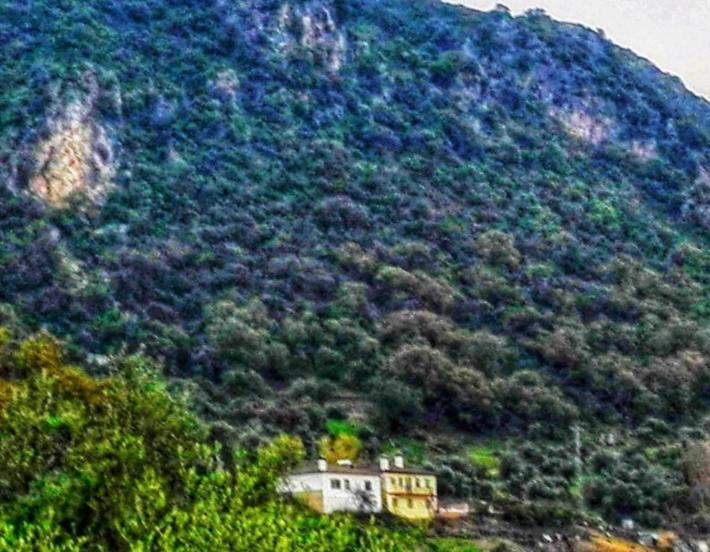 La Buhardilla De Torrecillas Farm stay *