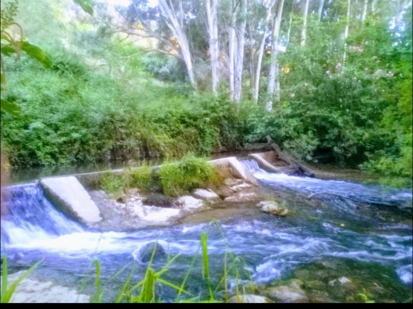 La Buhardilla De Torrecillas El Bosque